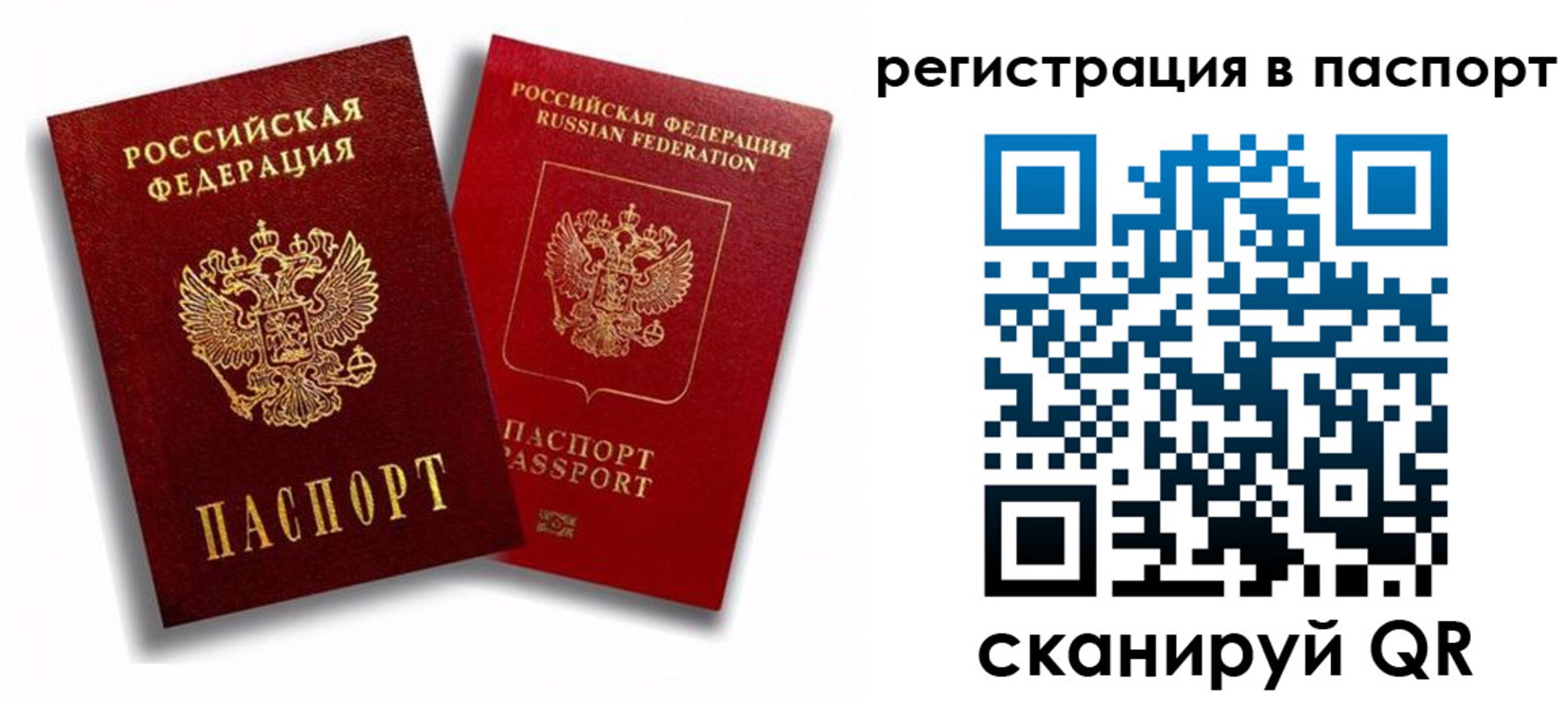 прописка 2025 в Тамбове